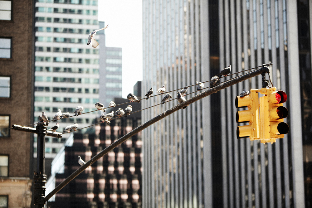 32010 nyc 022.jpg